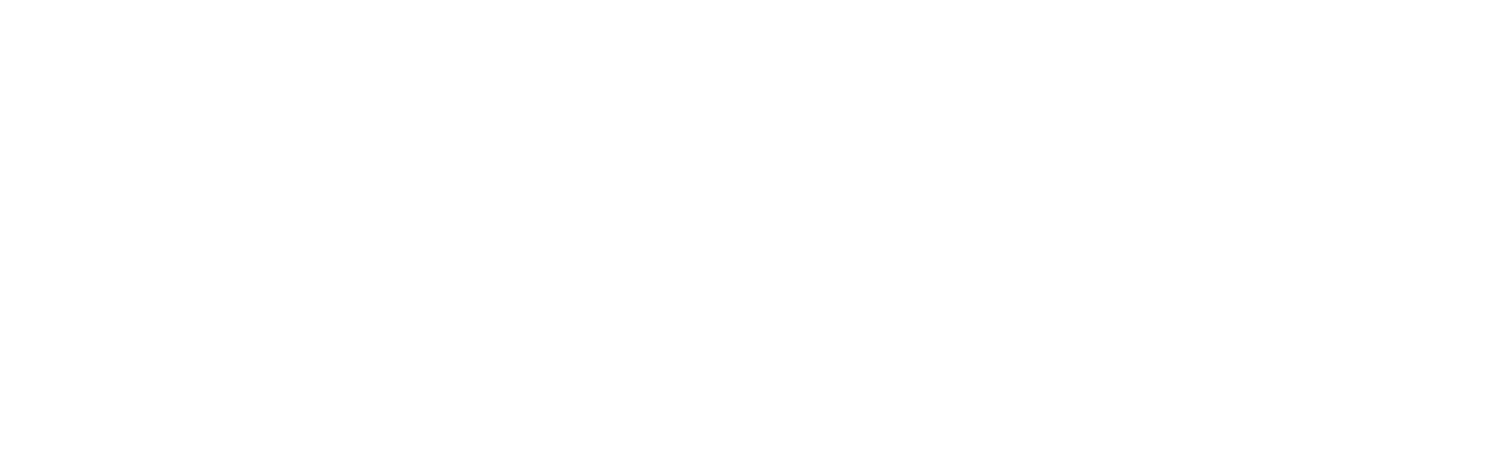 Literacy Now Horizontal Logo White