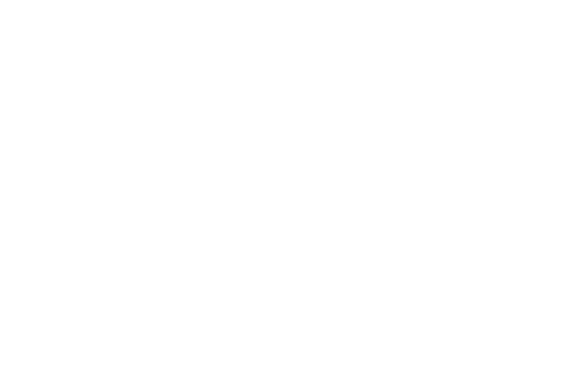 Literacy Now Main Logo White