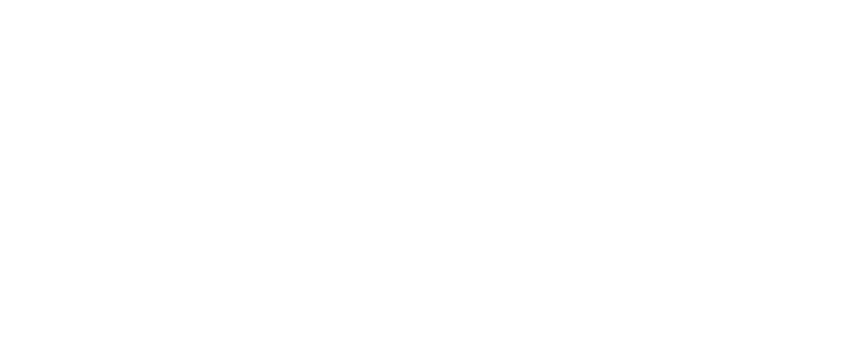 Literacy Now Side Stacked Logo White