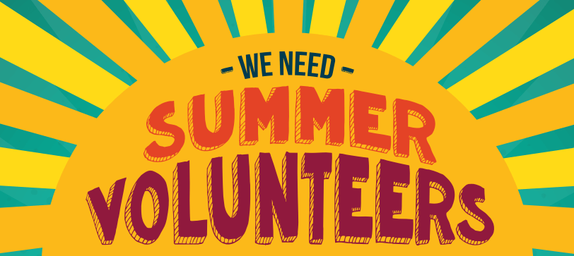 Summer Volunteer Opportunities image